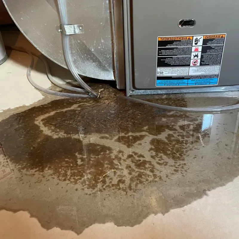 Pipe Burst and Leak Restoration in Barrackville, WV