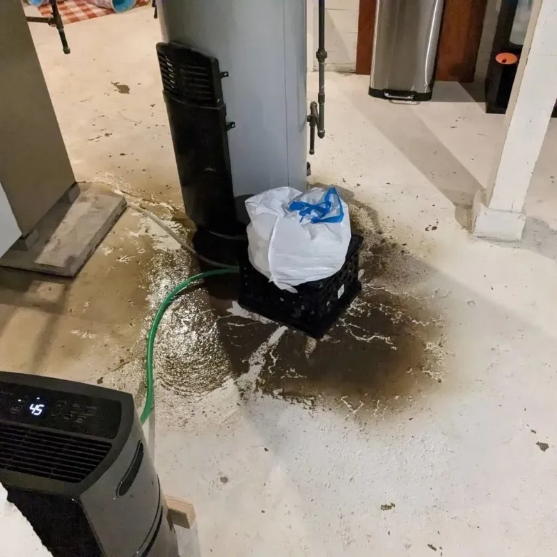 Sewage Backup Cleanup Service in Barrackville, WV